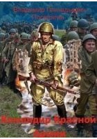 Читать книгу Командир Красной Армии
