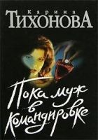 Читать книгу Пока муж в командировке