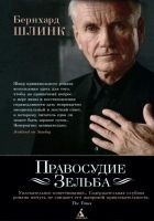 Читать книгу Правосудие Зельба