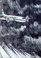 Читать книгу Особый случай