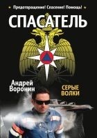 Читать книгу Спасатель. Серые волки
