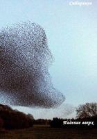 Читать книгу Падение вверх