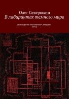 Читать книгу В лабиринтах тёмного мира. Том 2