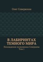 Читать книгу В лабиринтах тёмного мира