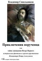 Читать книгу Приключения порученца, или Тайна завещания Петра В