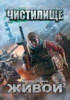 Читать книгу Чистилище. Живой