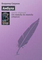 Читать книгу Амбула