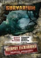 Читать книгу Истории Выживших (сборник)