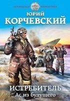 Читать книгу Истребитель. Ас из будущего