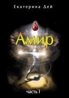 Читать книгу Амир