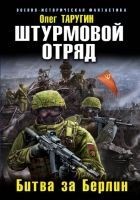 Читать книгу Штурмовой отряд. Битва за Берлин