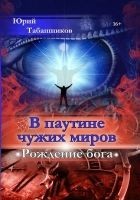 Читать книгу В паутине чужих миров. Рождение бога