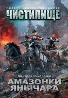 Читать книгу Чистилище. Амазонки Янычара