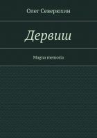 Читать книгу Дервиш