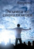 Читать книгу Экзамен по социализации