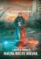 Читать книгу Дороги Зоны. Жизнь после жизни
