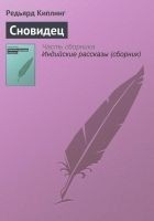 Читать книгу Сновидец
