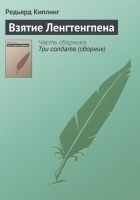 Читать книгу Взятие Ленгтенгпена