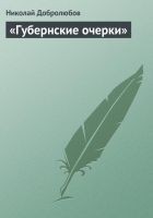 Читать книгу «Губернские очерки»