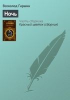 Читать книгу Ночь