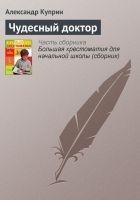Читать книгу Чудесный доктор