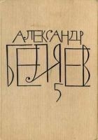 Читать книгу Воздушный корабль