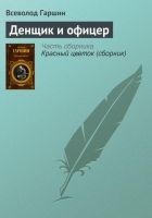 Читать книгу Денщик и офицер