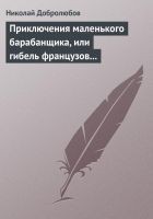 Читать книгу Приключения маленького барабанщика, или гибель фра