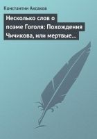 Читать книгу Несколько слов о поэме Гоголя: Похождения Чичикова