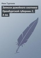 Читать книгу Записки ружейного охотника Оренбургской губернии.