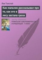 Читать книгу Как мальчик рассказывал про то, как его в лесу зас