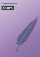 Читать книгу Юность