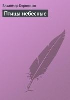 Читать книгу Птицы небесные