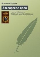 Читать книгу Аясларское дело