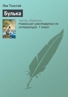 Читать книгу Булька