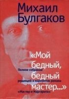 Читать книгу «Мой бедный, бедный мастер…»
