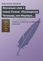 Читать книгу Несколько слов о поэме Гоголя: «Похождения Чичиков