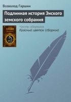 Читать книгу Подлинная история Энского земского собрания