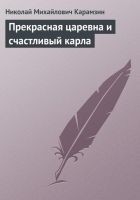 Читать книгу Прекрасная царевна и счастливый карла