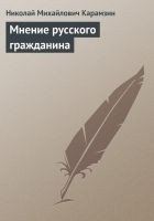 Читать книгу Мнение русского гражданина