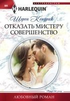 Читать книгу Отказать мистеру Совершенство