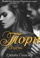 Читать книгу Торн 3