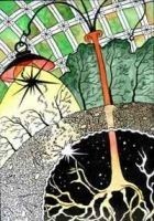 Читать книгу Фантастические тетради