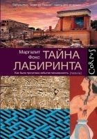 Читать книгу Тайна лабиринта