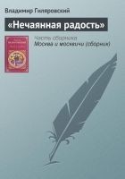 Читать книгу «Нечаянная радость»