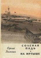 Читать книгу Соленая Падь. На Иртыше