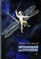 Читать книгу Летающий на стрекозе
