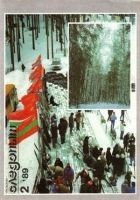 Читать книгу Под Солнцем Матроса Селкирка