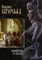 Читать книгу Камень и боль