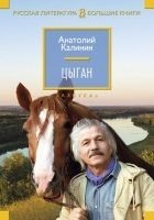 Читать книгу Цыган